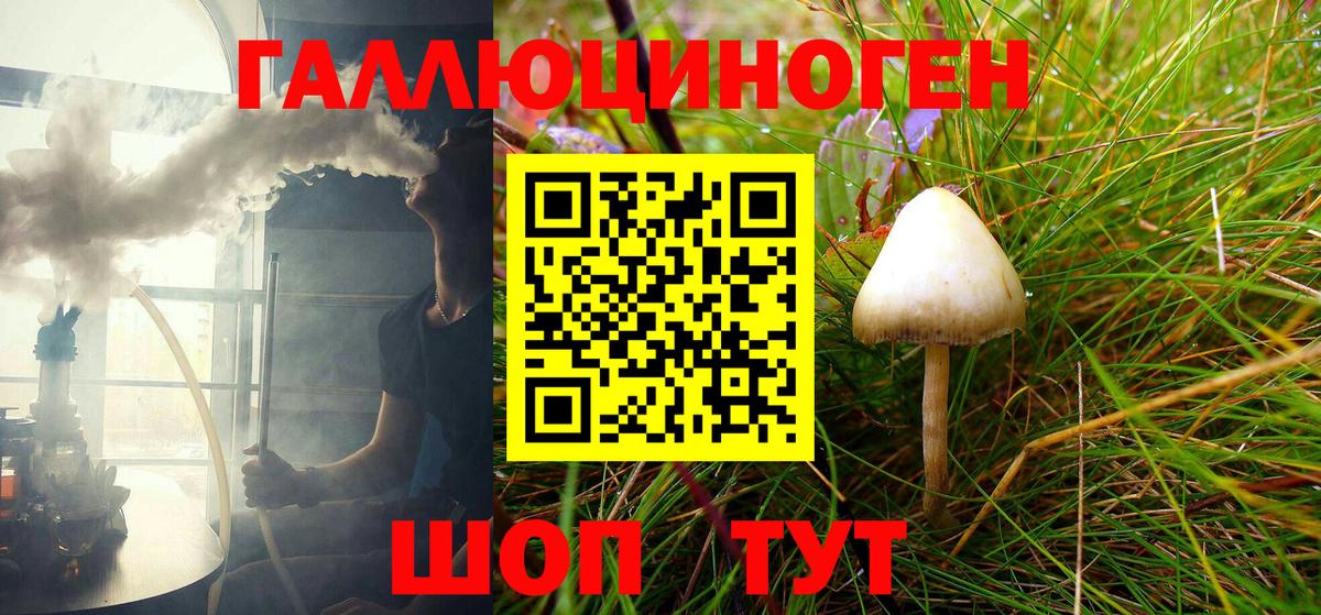 Галлюциногенные грибы Psilocybine cubensis Северск