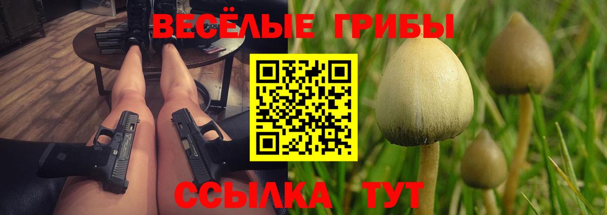 Северск  как найти   Галлюциногенные грибы GOLDEN TEACHER  Вход с VPN  Галлюциногенные грибы Cubensis 