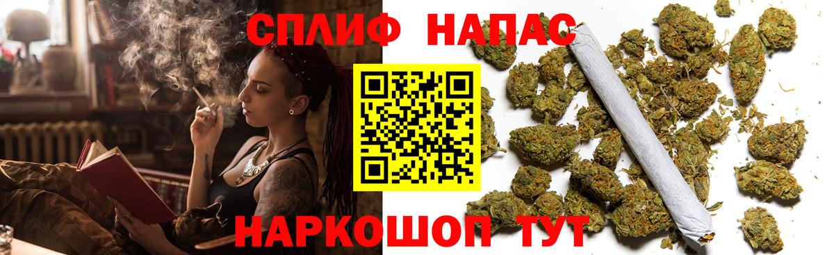 Каннабис планчик Северск